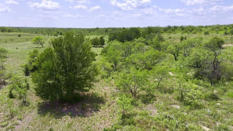 Listing Main Thumbnail #1