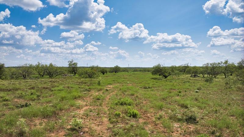 Listing Main Thumbnail #1