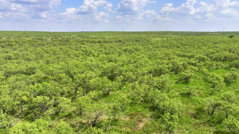 Listing Main Thumbnail #1