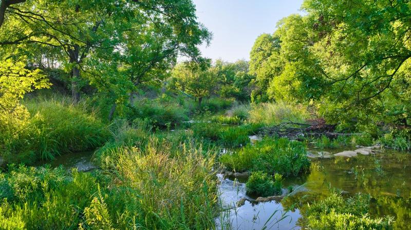 Listing Main Thumbnail #1