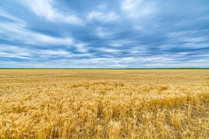 Listing Main Thumbnail #1