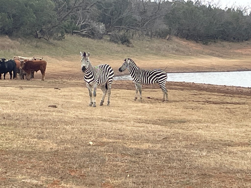 Listing Main Thumbnail #1