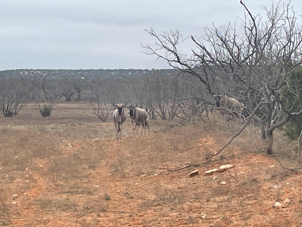 Listing Main Thumbnail #1