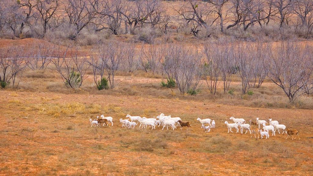 Listing Main Thumbnail #1