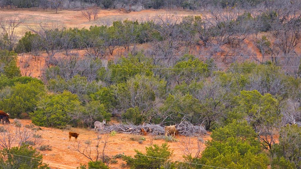 Listing Main Thumbnail #1