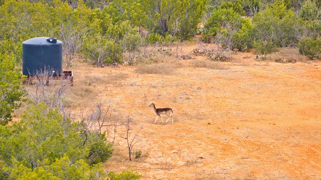 Listing Main Thumbnail #1