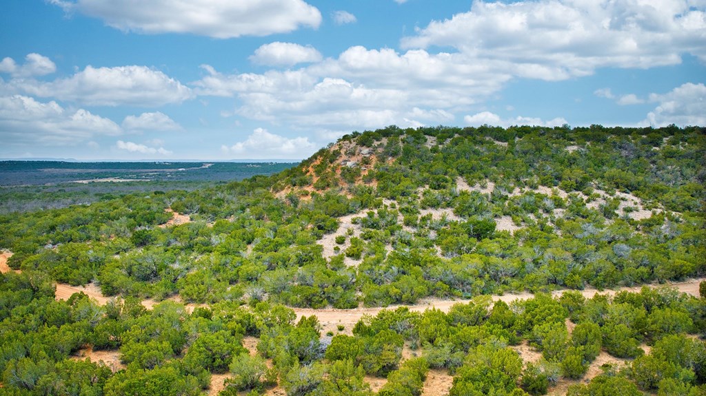 Listing Main Thumbnail #1