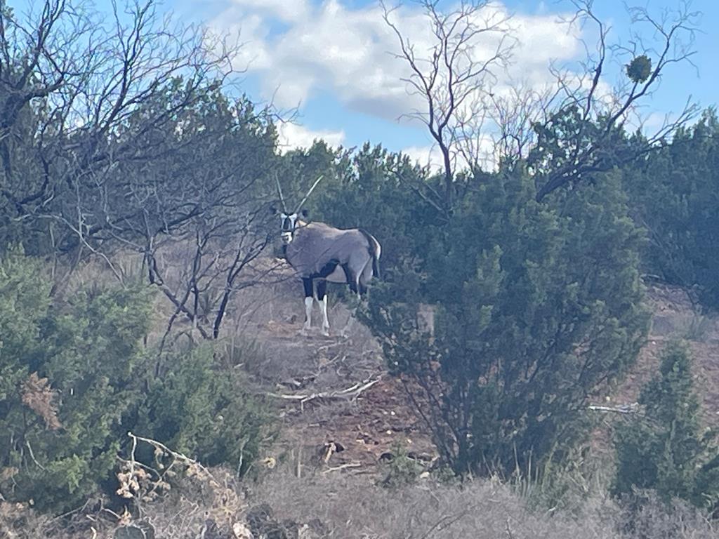 Listing Main Thumbnail #1