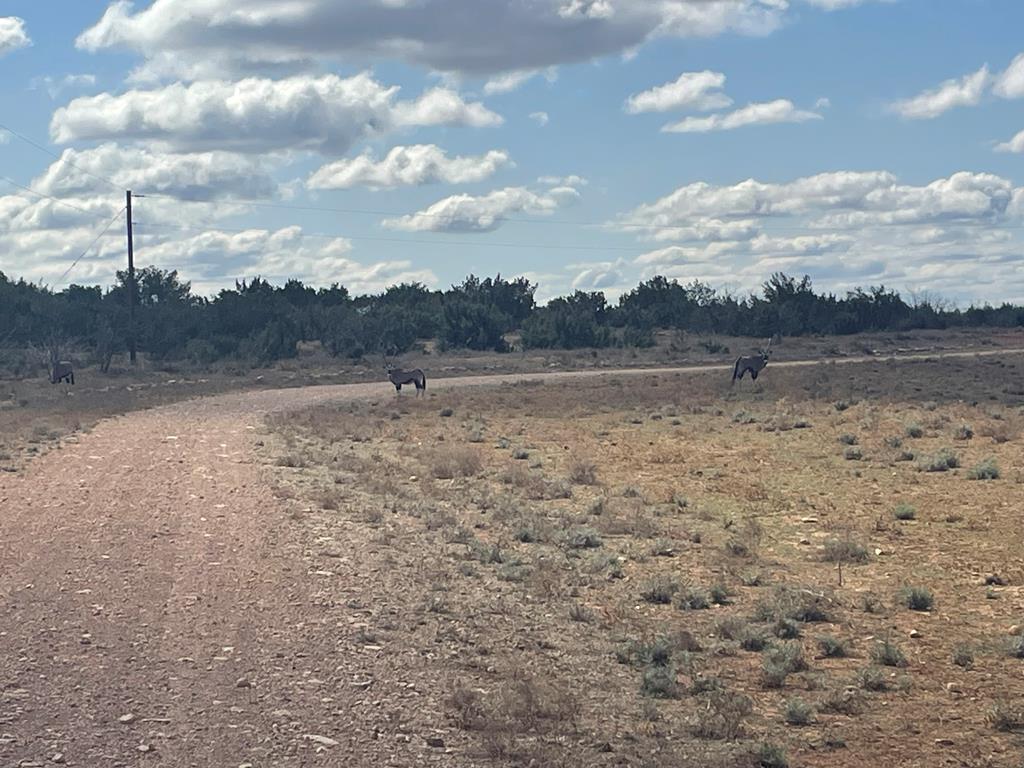 Listing Main Thumbnail #1