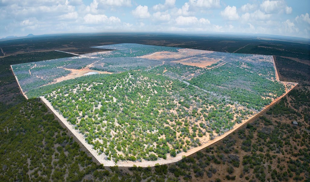 Listing Main Thumbnail #1