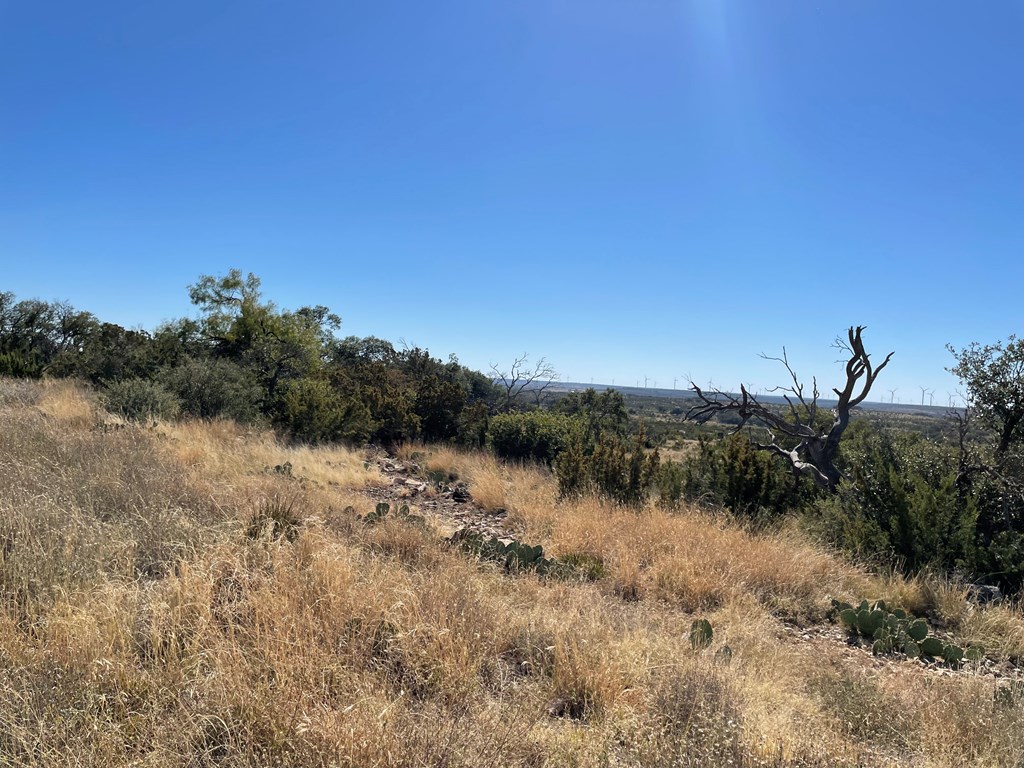 Listing Main Thumbnail #1