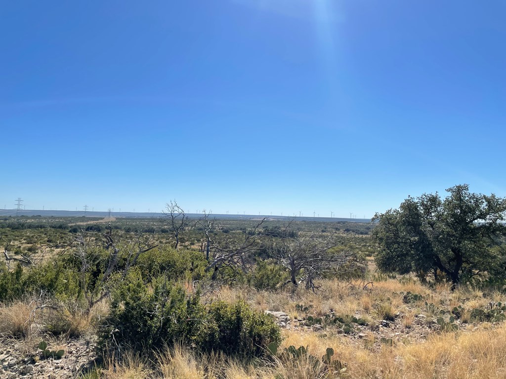 Listing Main Thumbnail #1