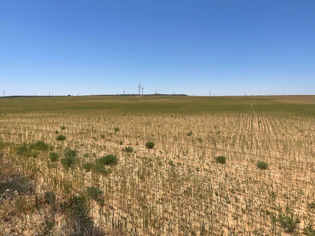 Listing Main Thumbnail #1