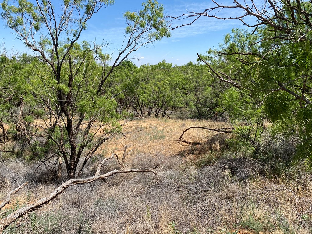 Listing Main Thumbnail #1