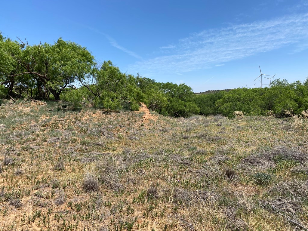 Listing Main Thumbnail #1