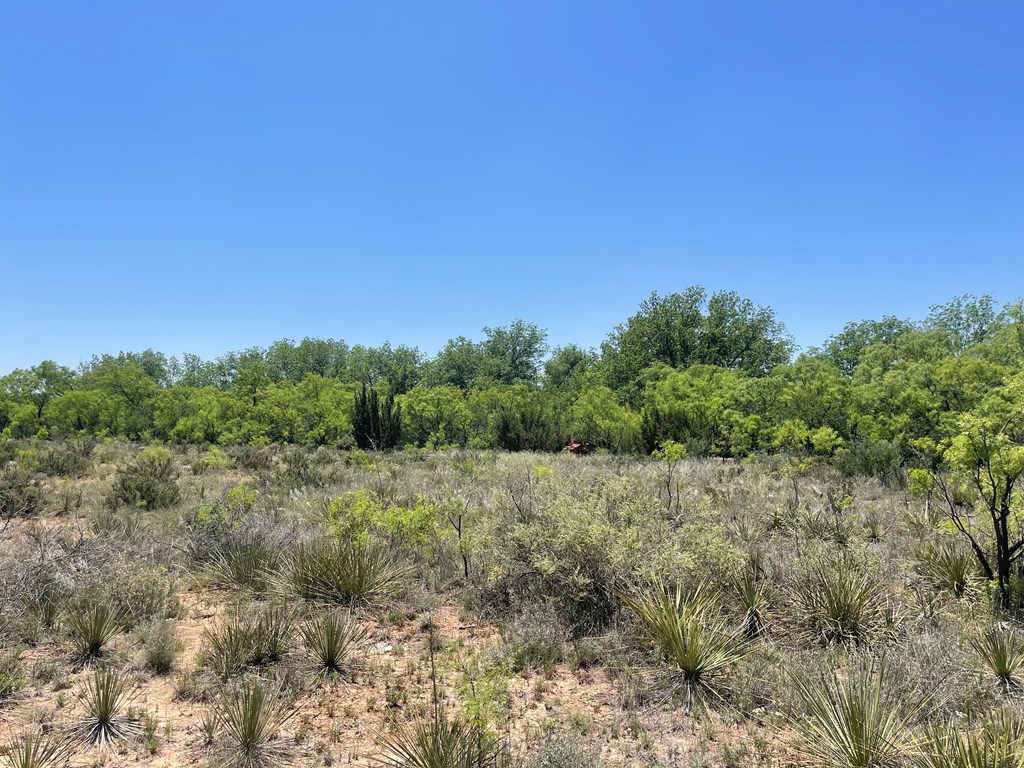 Listing Main Thumbnail #1