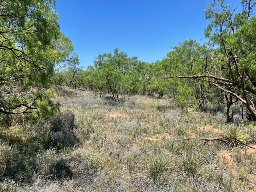 Listing Main Thumbnail #1