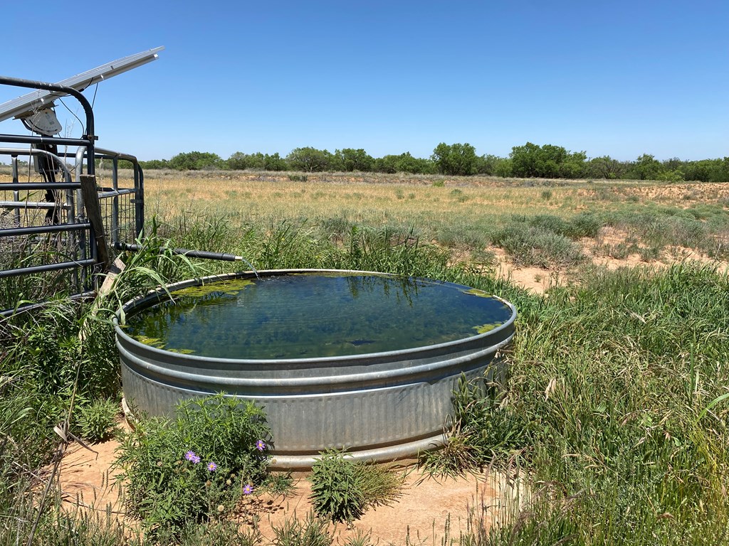 Listing Main Thumbnail #1