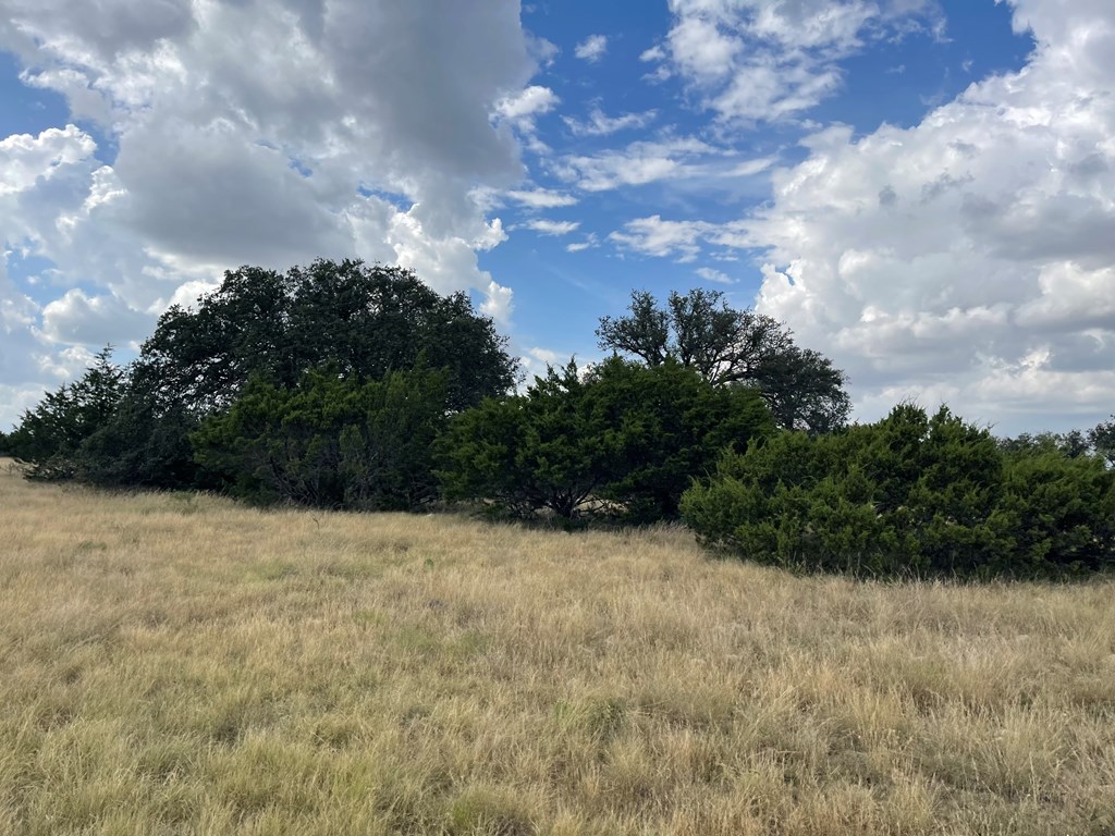 Listing Main Thumbnail #1