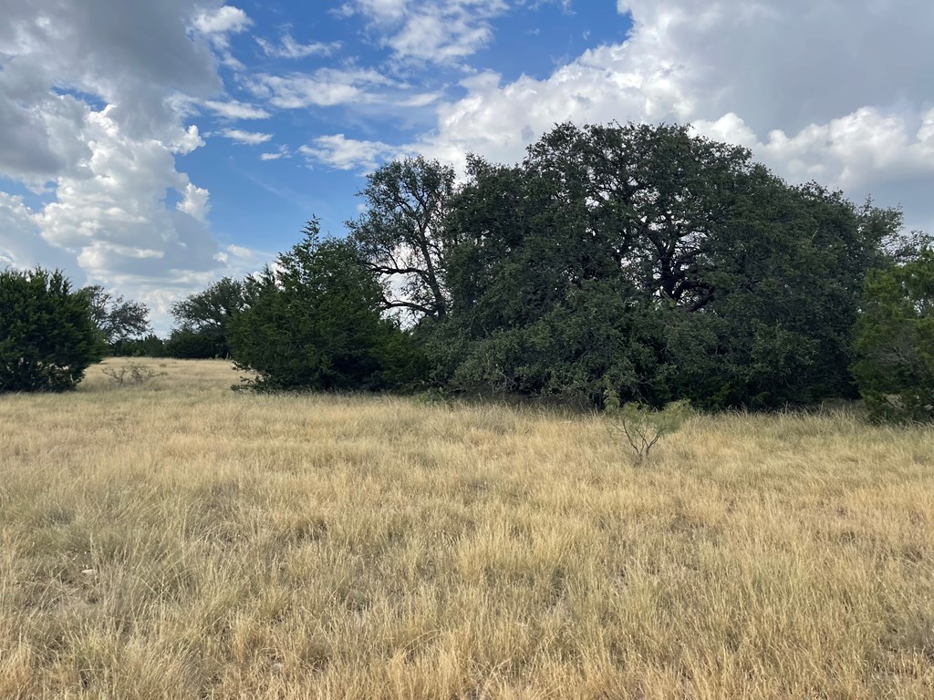 Listing Main Thumbnail #1