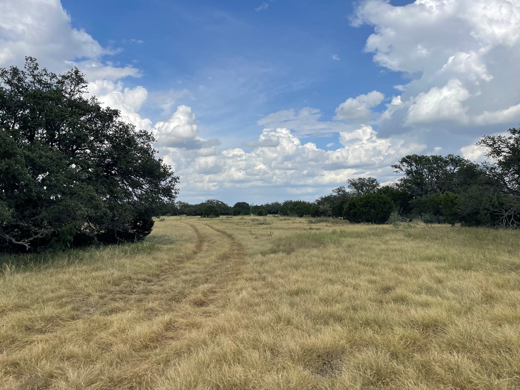 Listing Main Thumbnail #1