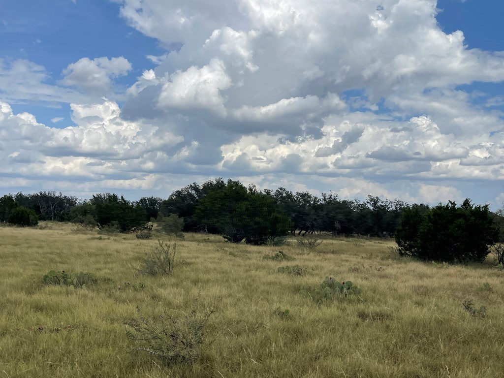 Listing Main Thumbnail #1