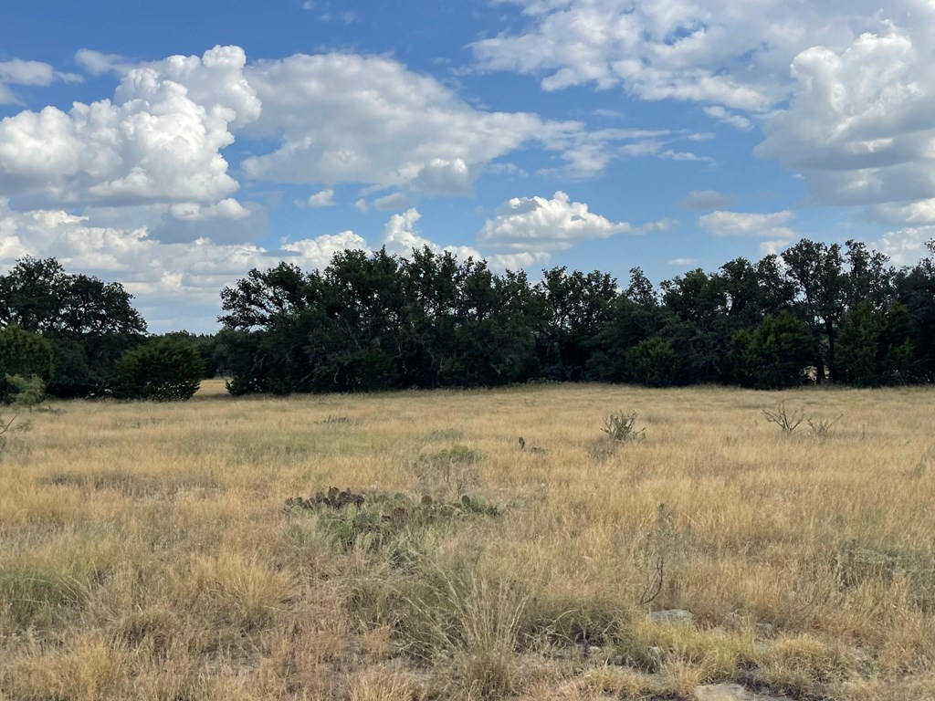 Listing Main Thumbnail #1