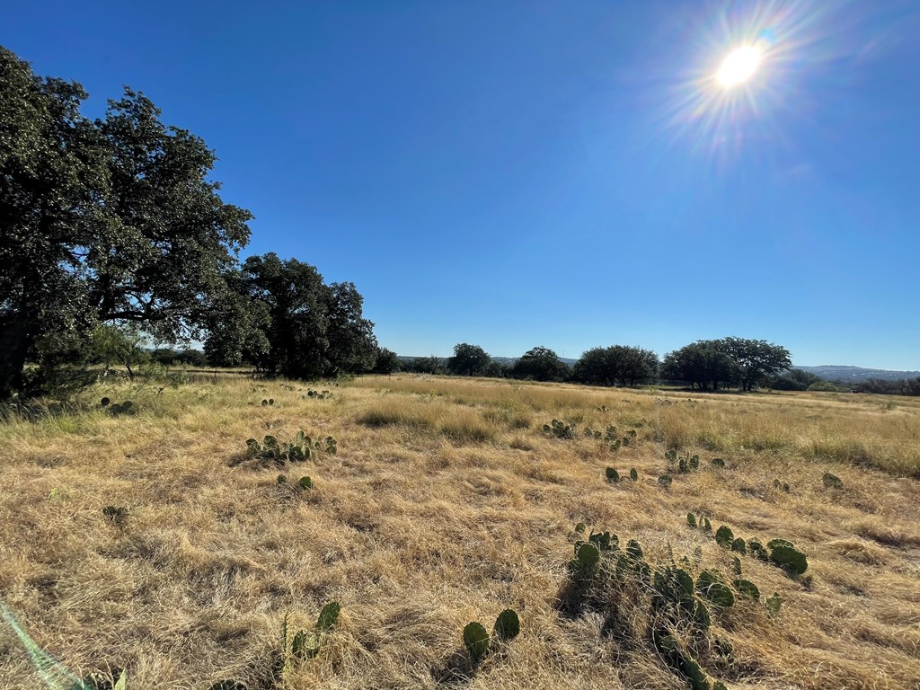 Listing Main Thumbnail #1