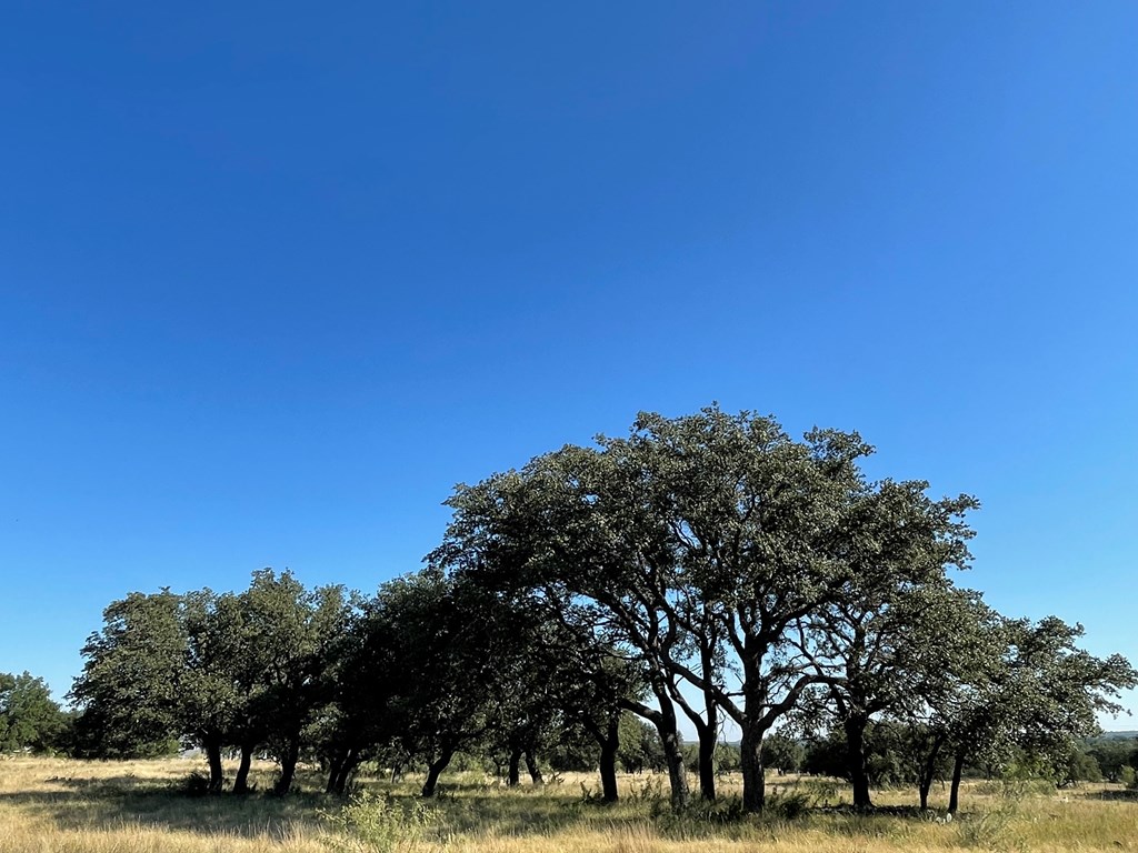 Listing Main Thumbnail #1