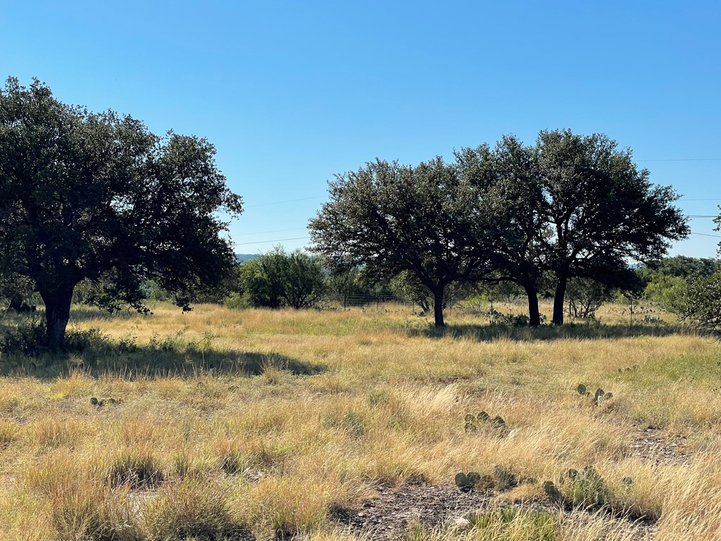 Listing Main Thumbnail #1