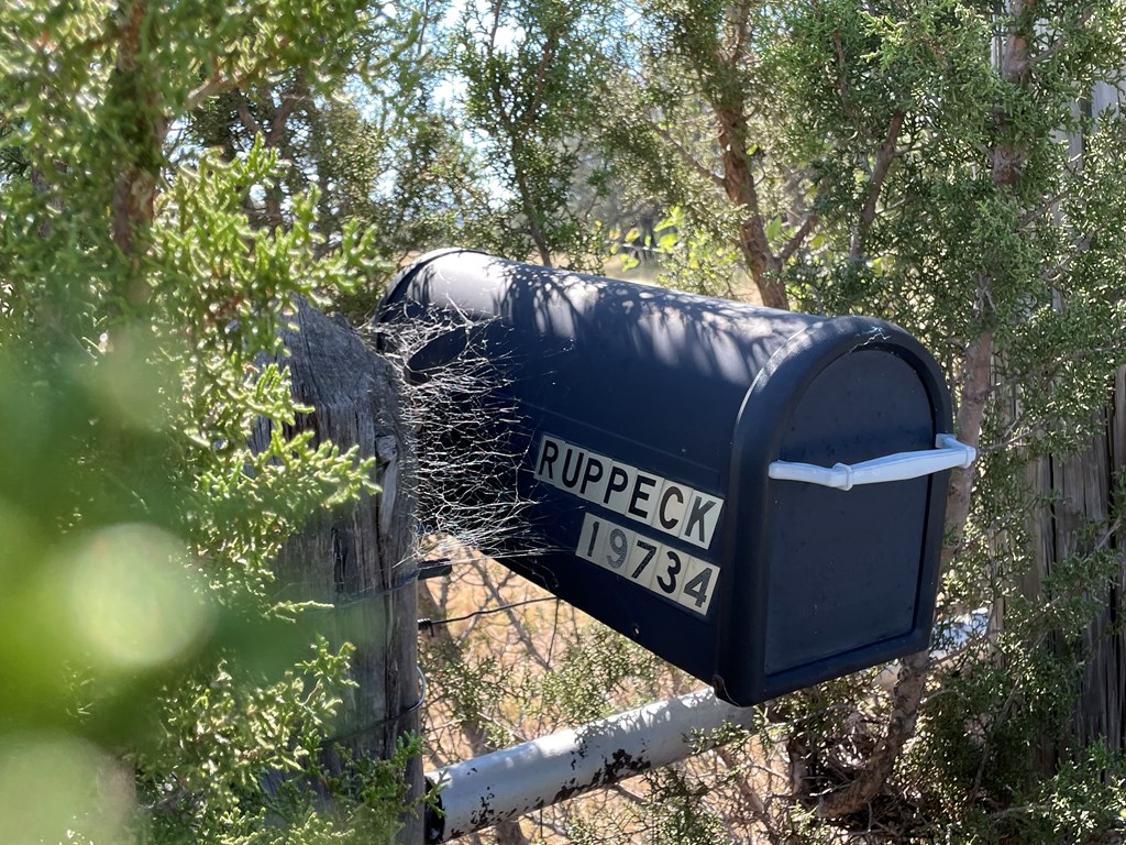 Listing Main Thumbnail #1