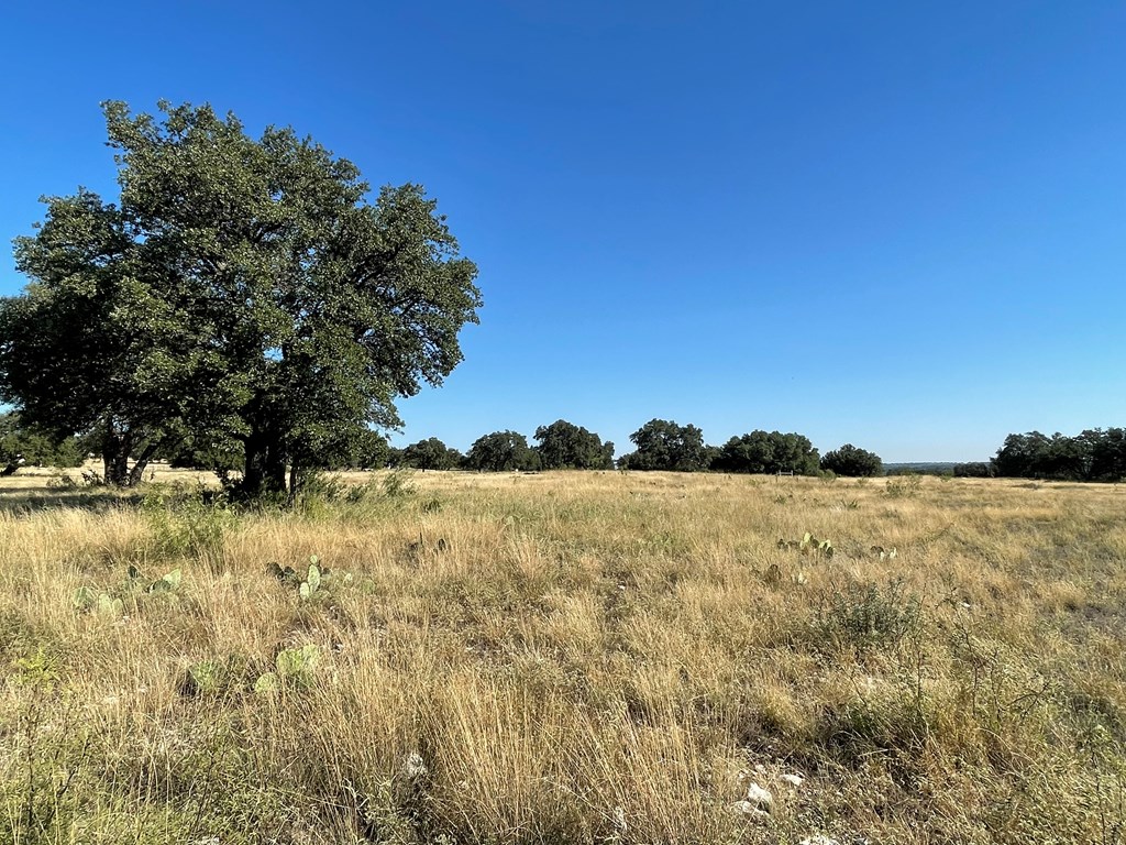 Listing Main Thumbnail #1