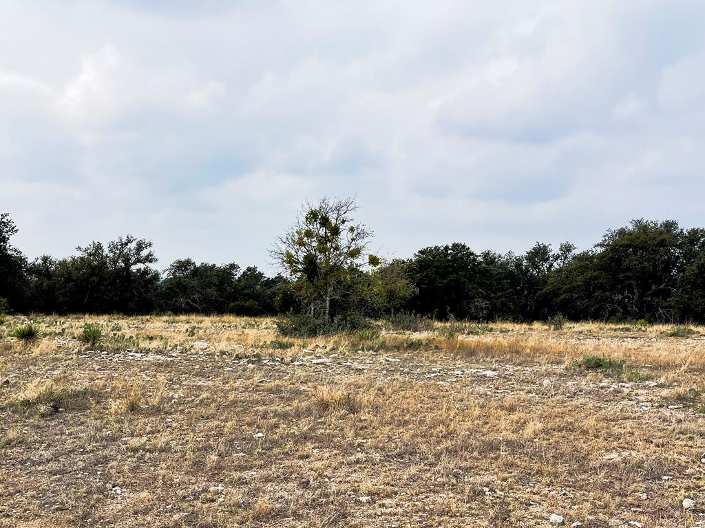 Listing Main Thumbnail #1