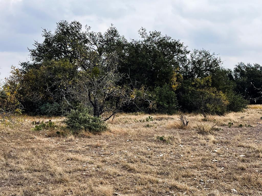 Listing Main Thumbnail #1