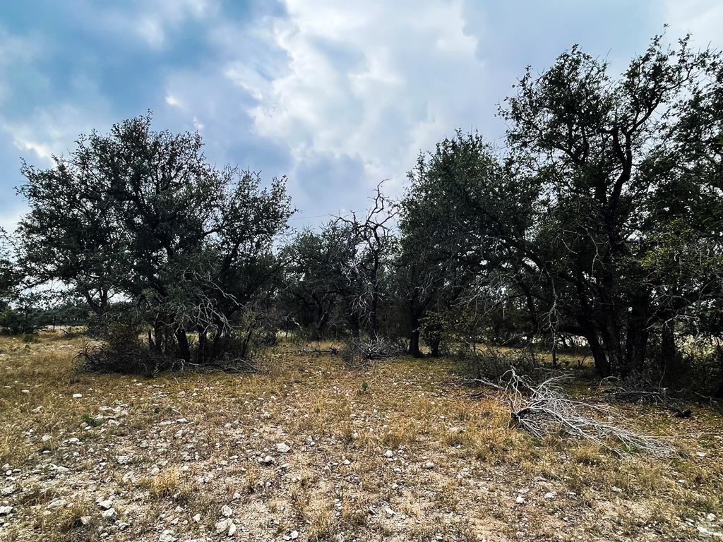 Listing Main Thumbnail #1