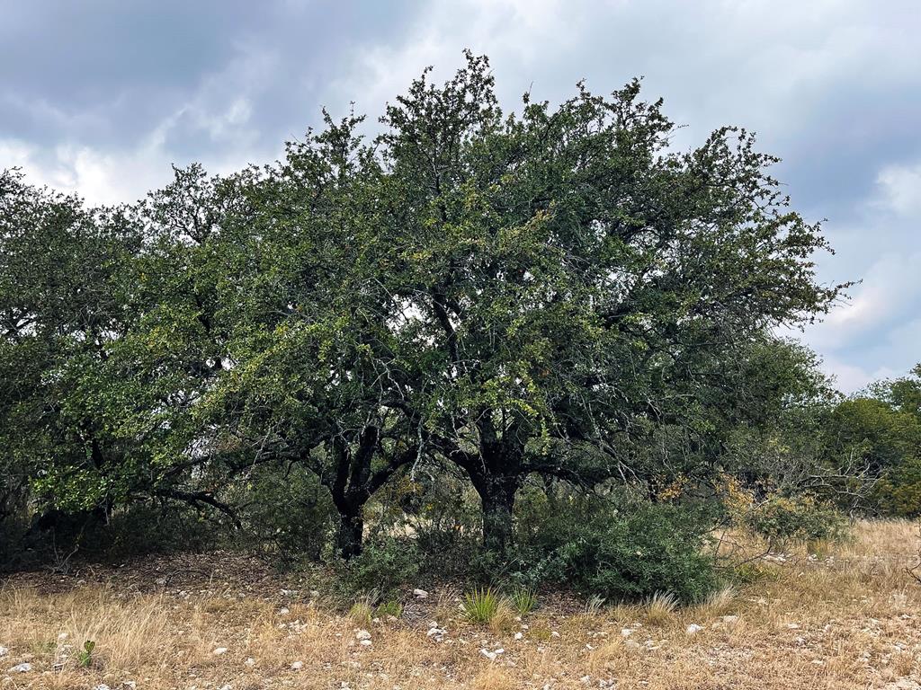 Listing Main Thumbnail #1