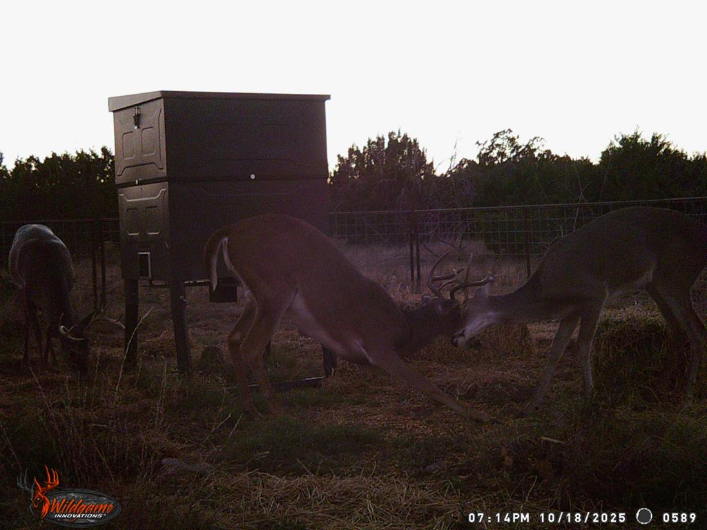 Listing Main Thumbnail #1