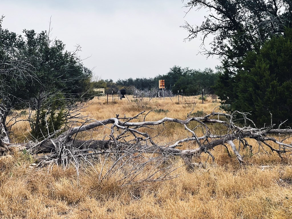 Listing Main Thumbnail #1