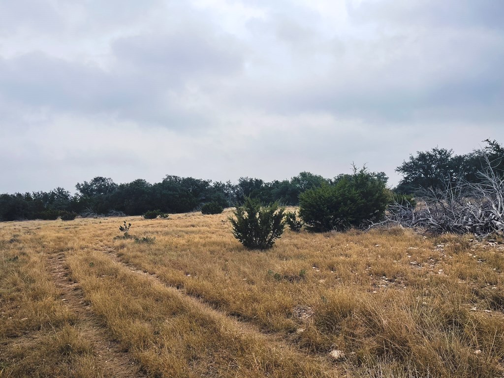 Listing Main Thumbnail #1