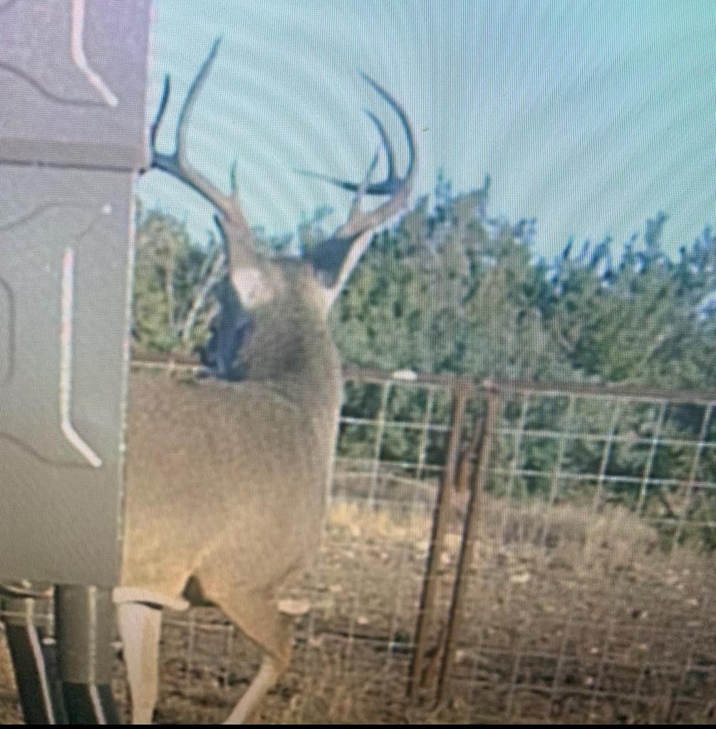 Listing Main Thumbnail #1