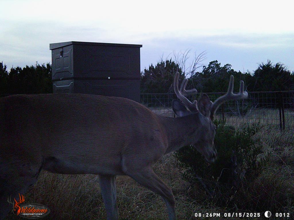 Listing Main Thumbnail #1