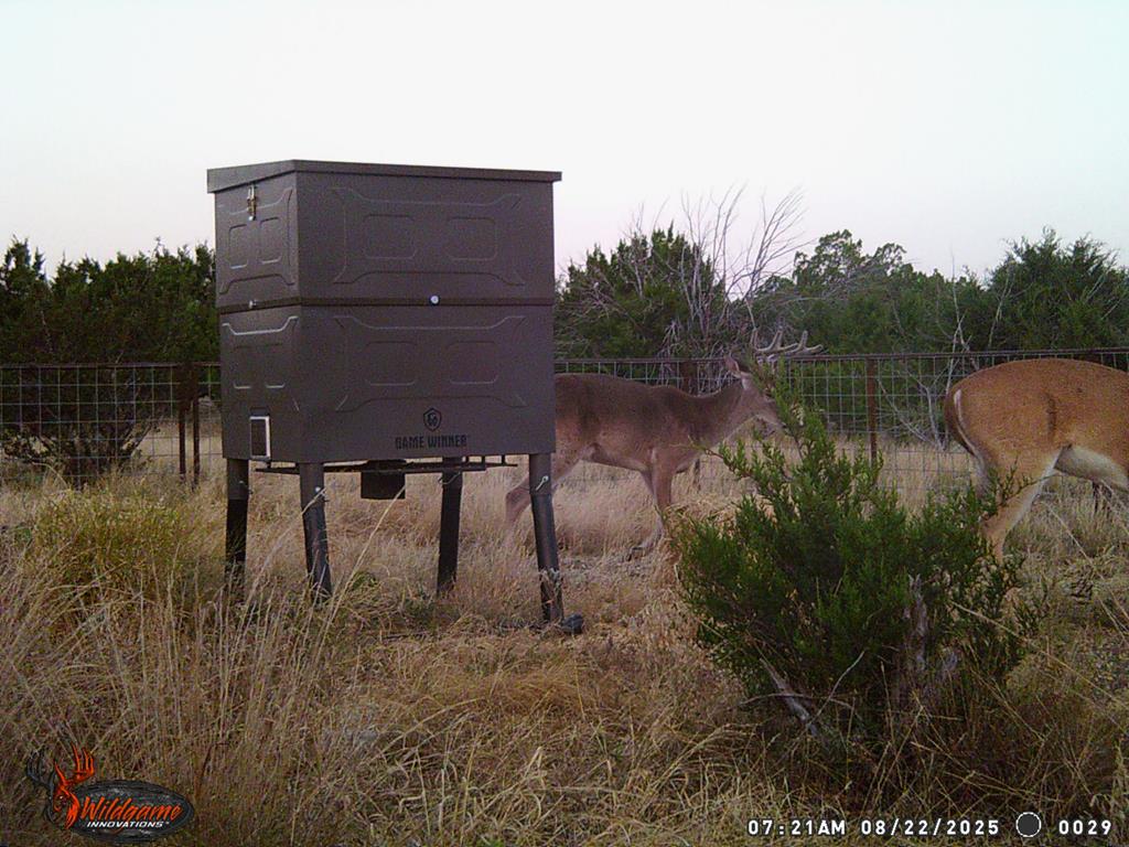 Listing Main Thumbnail #1