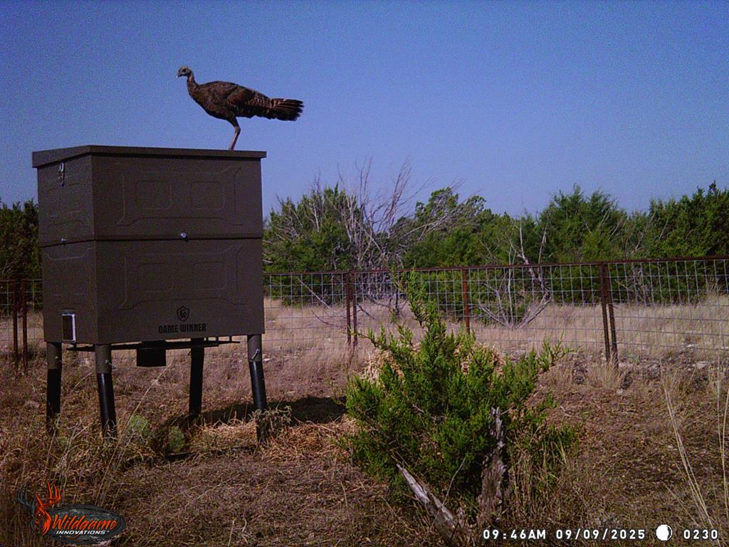 Listing Main Thumbnail #1