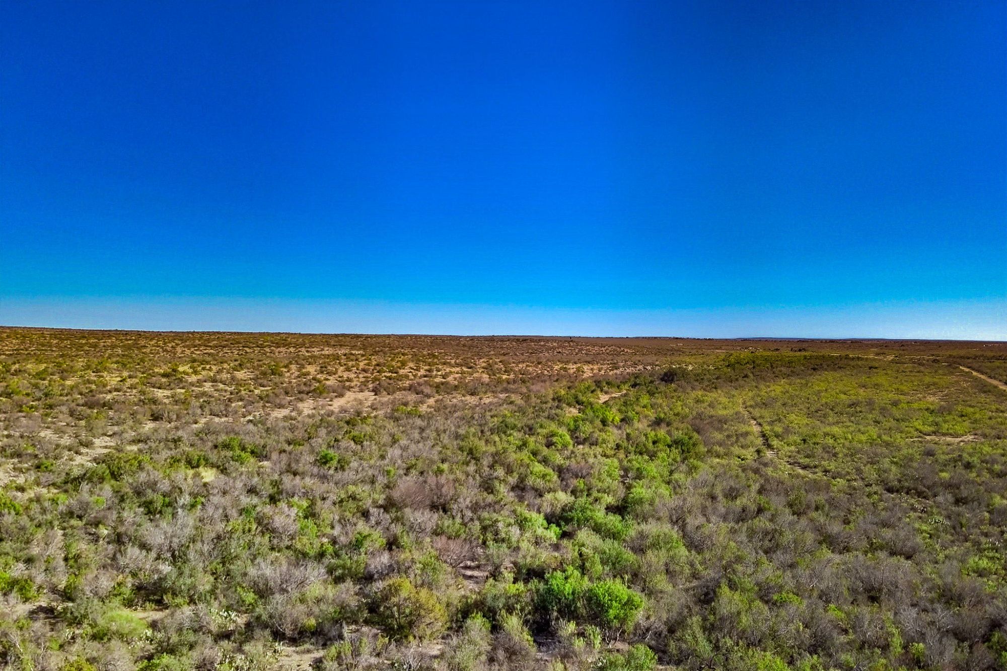 Listing Main Thumbnail #1