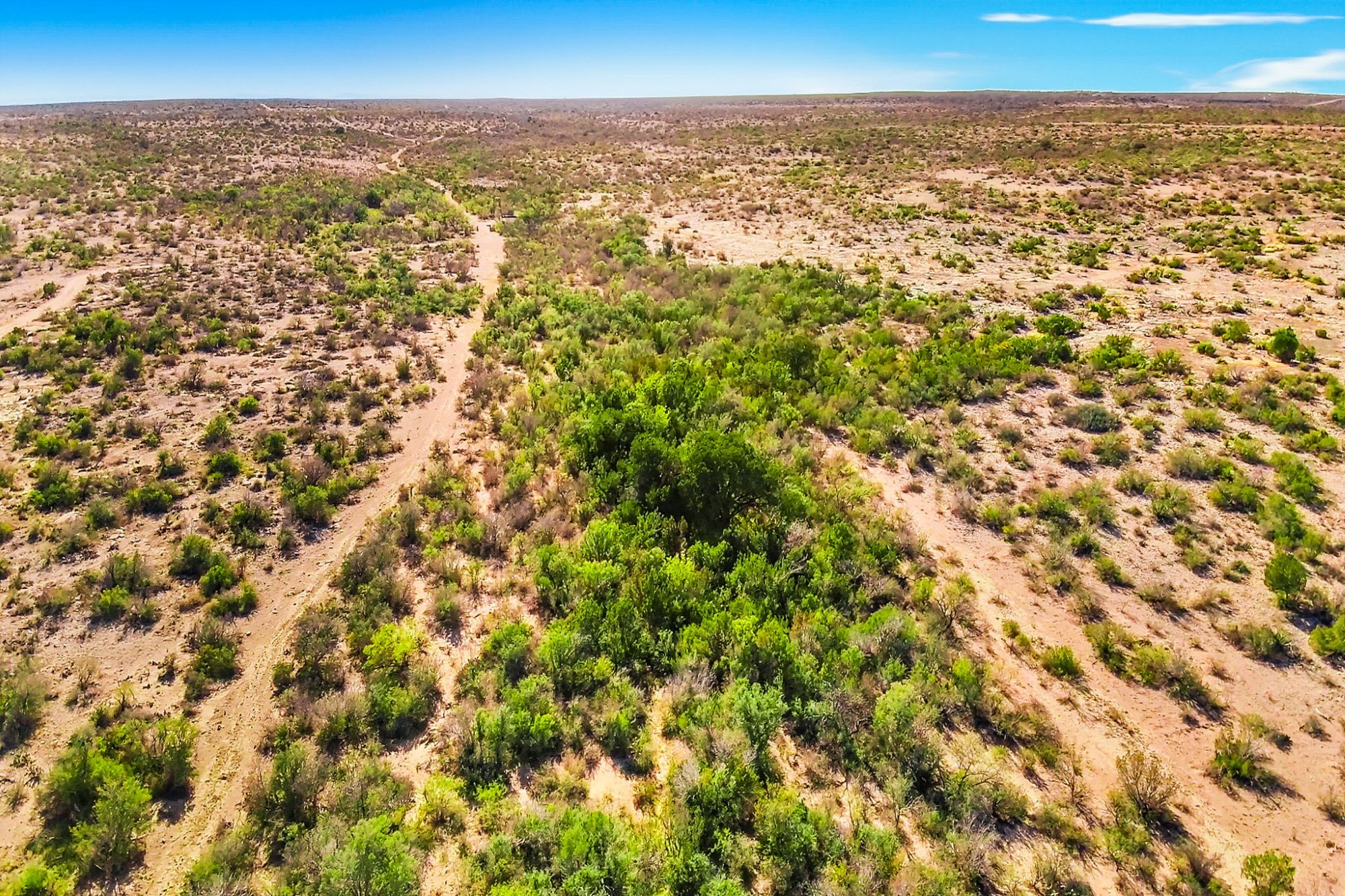 Listing Main Thumbnail #1