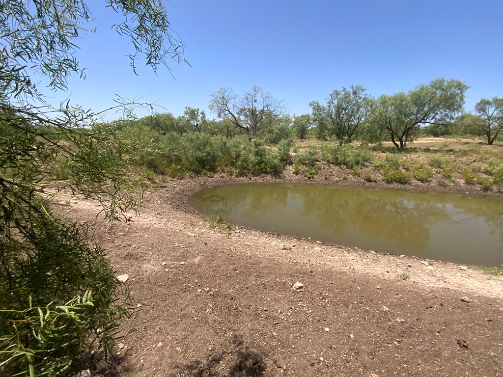 Listing Main Thumbnail #1