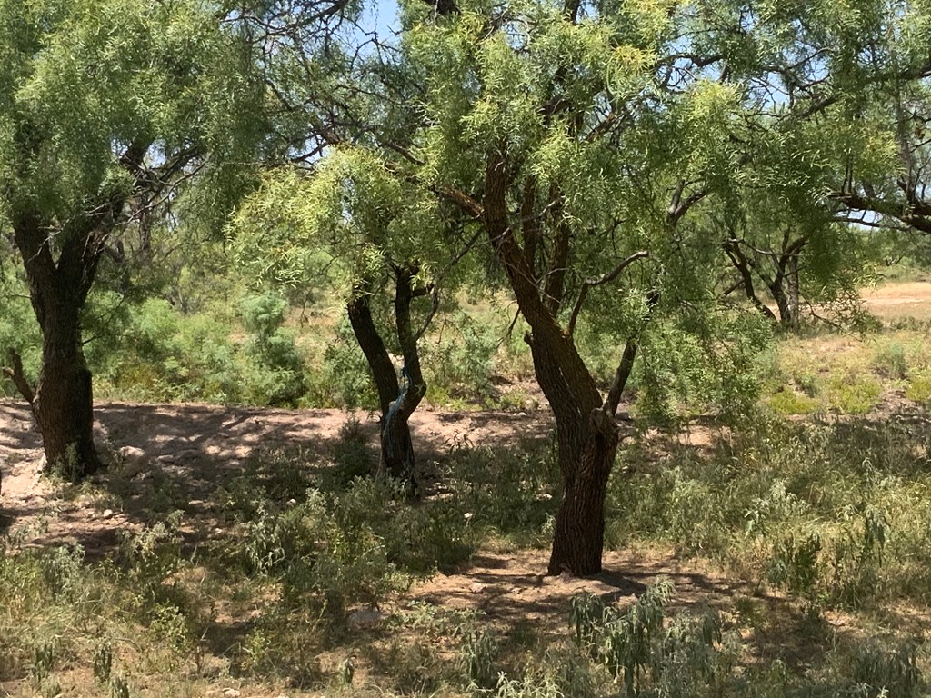 Listing Main Thumbnail #1