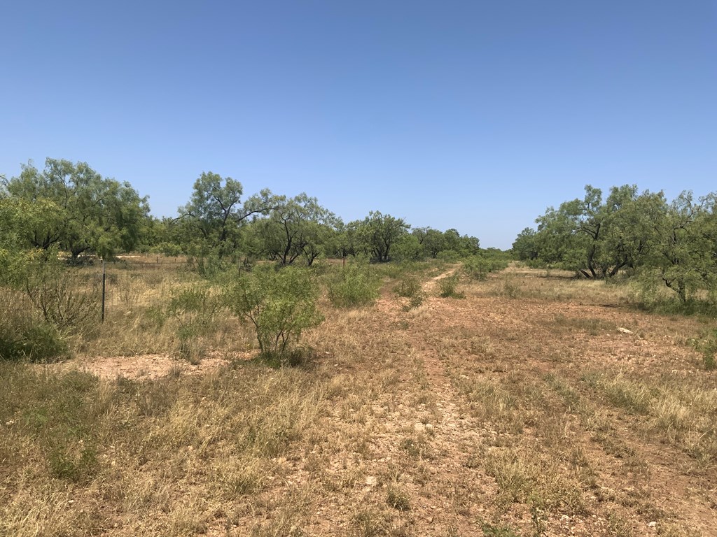 Listing Main Thumbnail #1