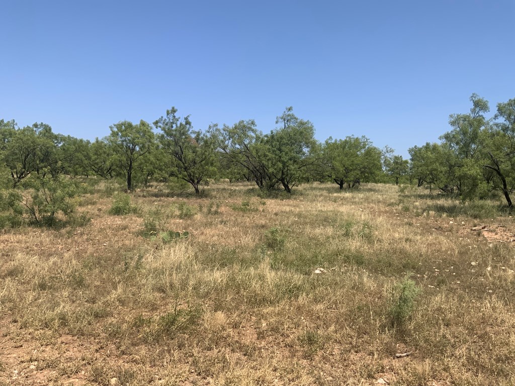 Listing Main Thumbnail #1