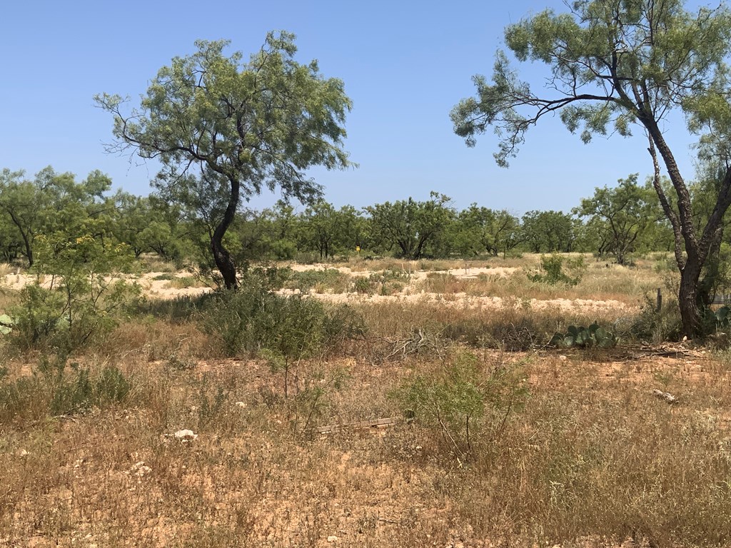 Listing Main Thumbnail #1